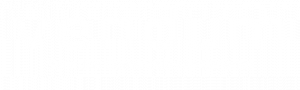 Logo blanco sobre transparente Vendum